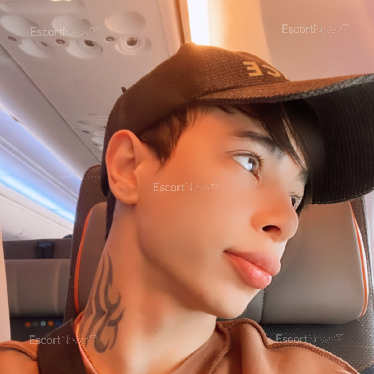 Twink_ferdu