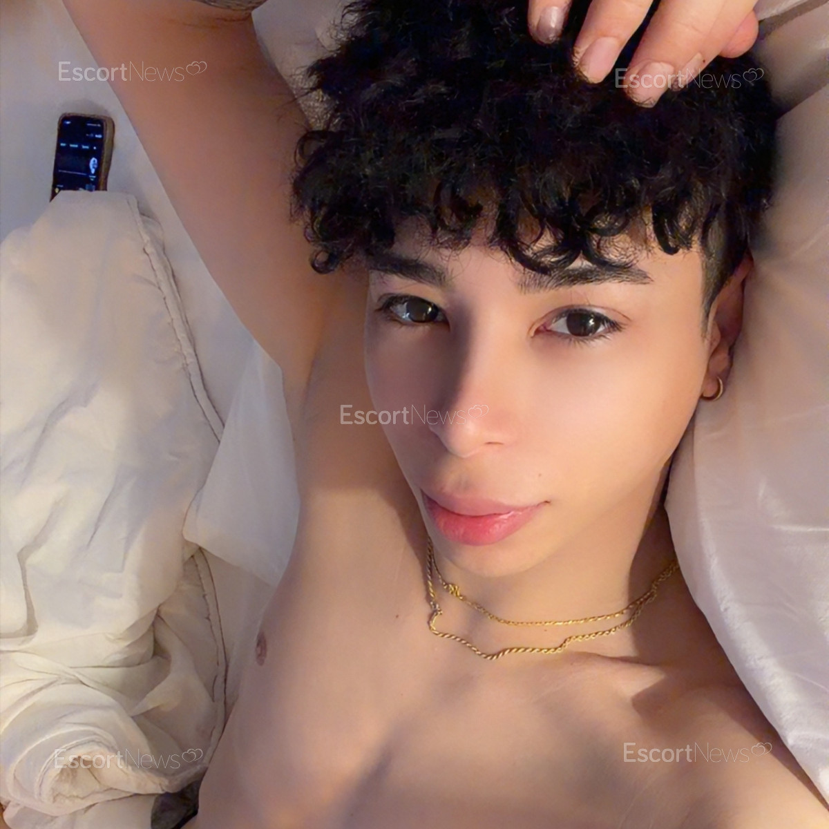 Twink_ferdu